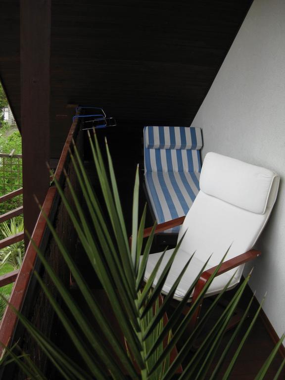 Pokoje Goscinne Pod Palmami Busko-Zdrój Exteriér fotografie