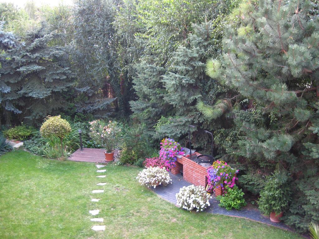 Pokoje Goscinne Pod Palmami Busko-Zdrój Exteriér fotografie